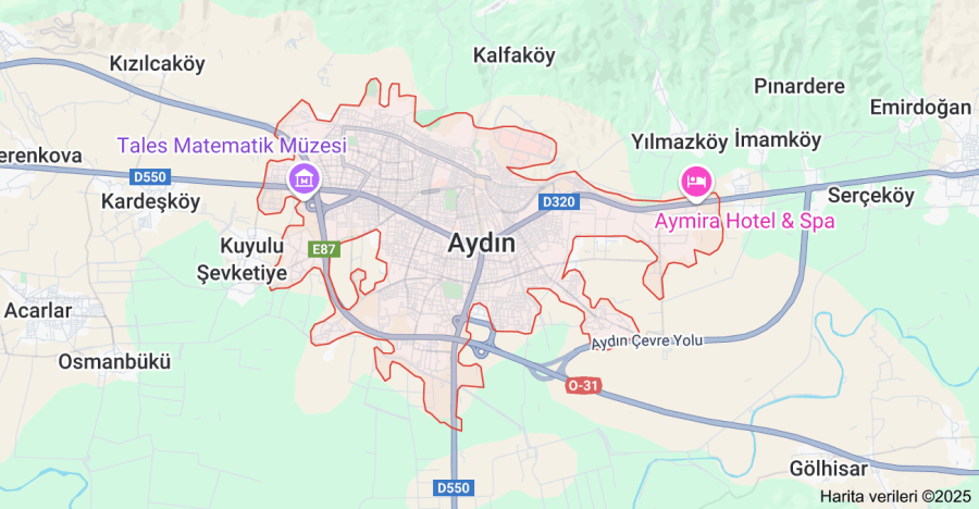 Aydın Çiçekçi Sitesi: Online Sipariş