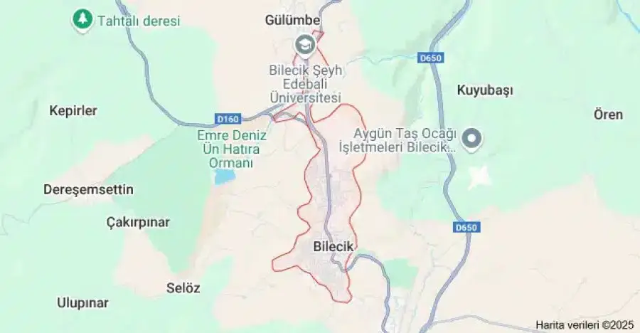 Bilecik Çiçekçi Siteniz Mi Lazım?