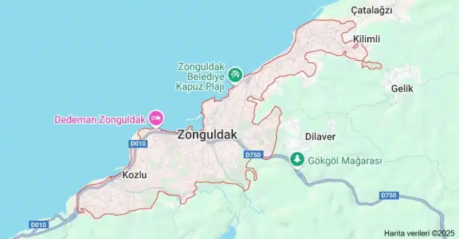 Zonguldak Çiçekçi Siteniz Burada!